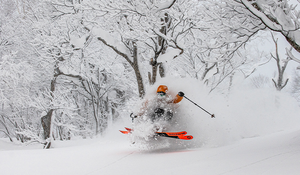 Types of Downhill Skis