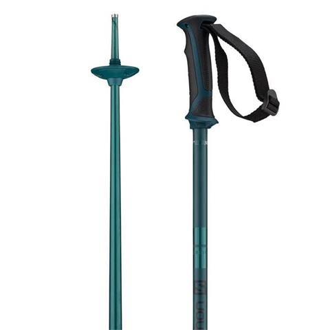 Salomon Arctic Ski Poles