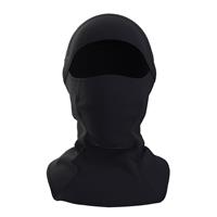 Arc'teryx Men's RHO Balaclava