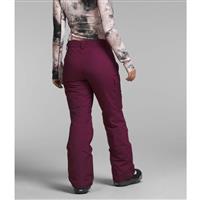 North Face Women's Insulated Freedom Pant 2022 – Backwoods