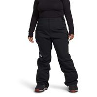 The North Face Women’s Plus Freedom Stretch Pants