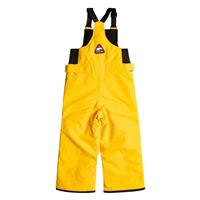 Quiksilver Boogie Pant - Boy's - Golden Rod (YKK0)