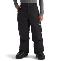 The North Face Boys&#39; Freedom Insulated Pant