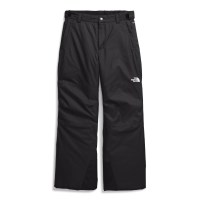 The North Face Boys' Freedom Insulated Pant - TNF Black