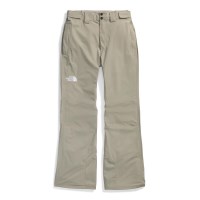 The North Face Men's Freedom Stretch Pant - Clay Grey