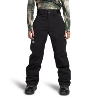 The North Face Men's Freedom Stretch Pant - TNF Black (NPF)