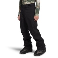 The North Face Men's Freedom Stretch Pant - TNF Black (NPF)