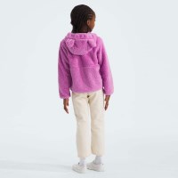 The North Face Kids' Campshire Full Zip Hoodie - Dragonfruit