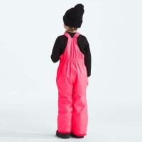 The North Face Kids' Freedom Insulated Bib - Radiant Poppy