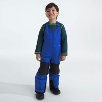 The North Face Kids' Freedom Insulated Bib - TNF Blue