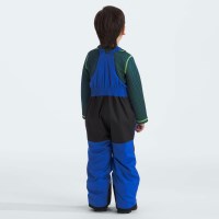 The North Face Kids' Freedom Insulated Bib - TNF Blue