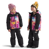 The North Face Kids' Freedom Insulated Jacket - Radiant Poppy Blowing Wind Print