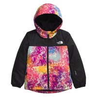 The North Face Kids' Freedom Insulated Jacket - Radiant Poppy Blowing Wind Print