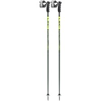 Leki Detect S Ski Poles - Green / Yellow