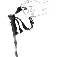 Leki QNTM Ski Poles - Black / Blue