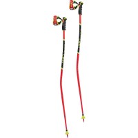 Leki WCR TBS GS 3D Race Ski Poles