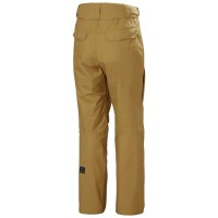 Helly Hansen Sogn Cargo Pant - Men's - Lynx