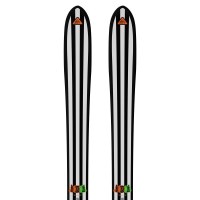 Salomon Départ.01 Skis