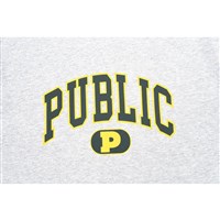 Public Collegiate Crew Neck - Grey