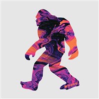 NoSo Patch - Assorted Collection - Sasquatch