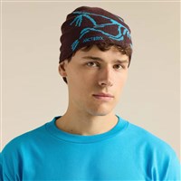 Arc'teryx Bird Head Toque - Ultima / Aquaculture