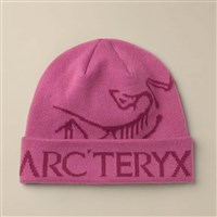 Arc'teryx Bird Word Toque - Lt Renegade / Renegade