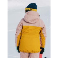 Burton Women's [ak] Embark GORE-TEX Jacket - Shadow Pink / Golden Rod